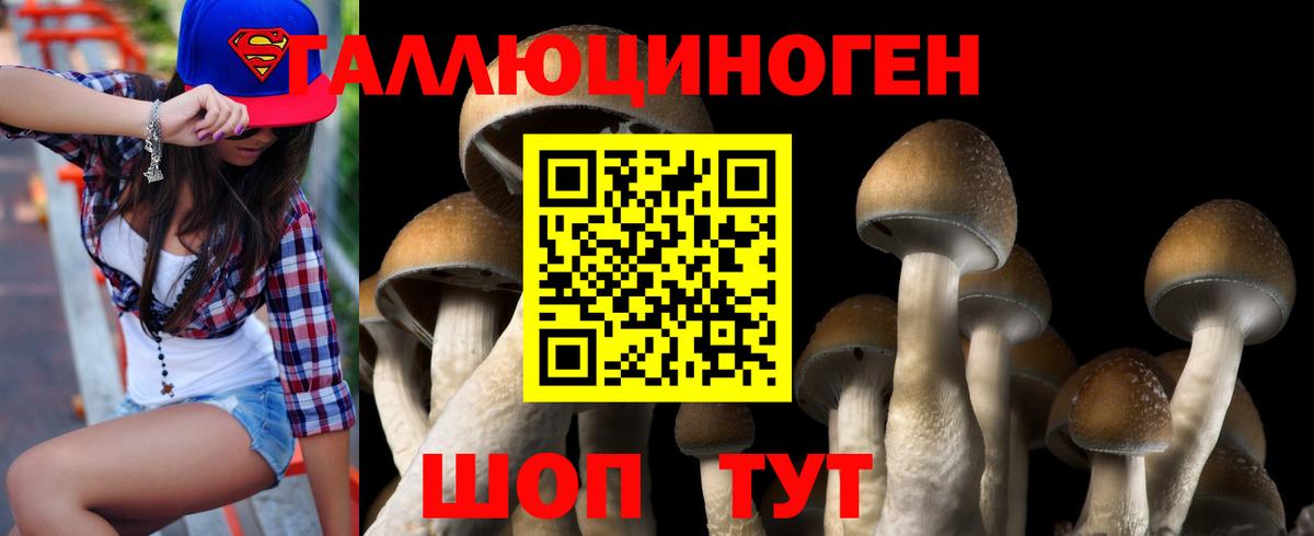 Псилоцибиновые грибы MAGIC MUSHROOMS Нягань